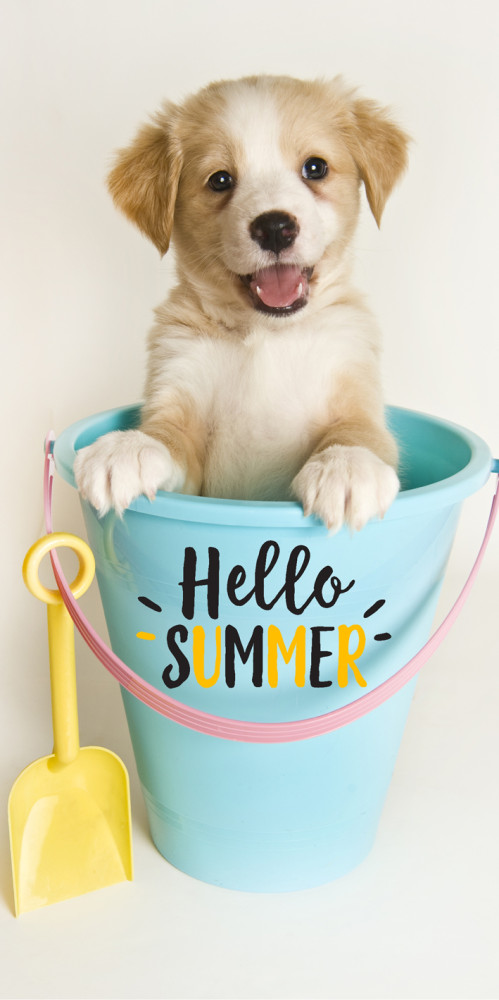 Dog Summer beach towel, bath towel 70x140cm