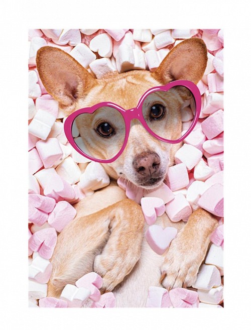 Dog Marshmallow A/4 elastic folder