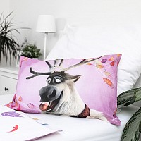 Disney Frozen Wind childrens bedding 100×135 cm, 40×60 cm