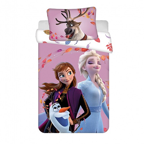 Disney Frozen Wind children's bedding 100×135 cm, 40×60 cm