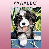 Painting by numbers 40x30cm - dog Maaleo 22780